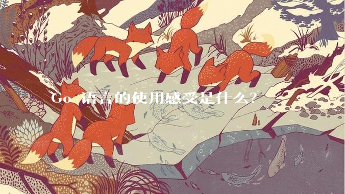 Go 语言的使用感受是什么？