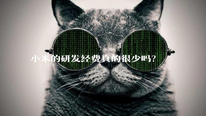 小米的研发经费真的很少吗？