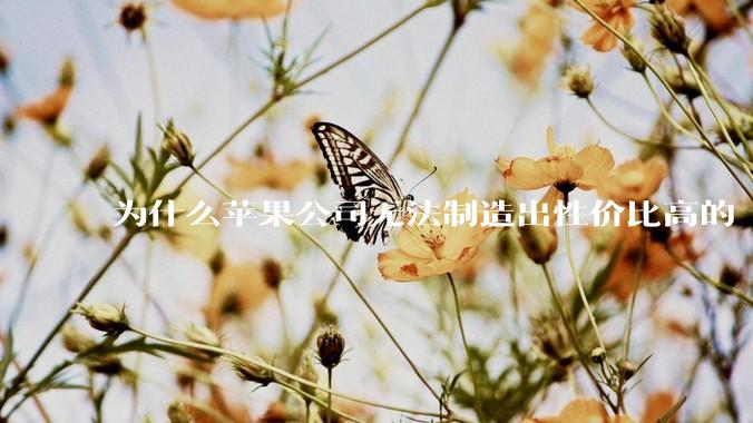 为什么苹果公司无法制造出性价比高的 Mac 电脑？