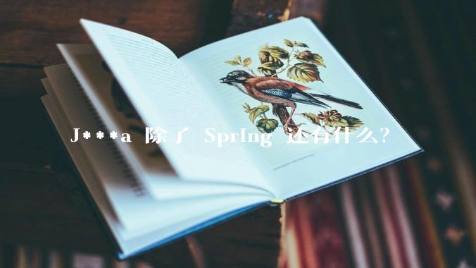 J***a 除了 Spring 还有什么？