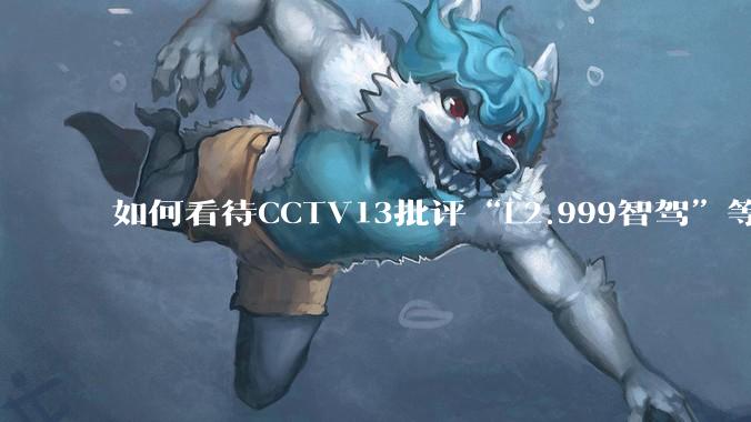 如何看待CCTV13批评“L2.999智驾”等误导性宣传，若导致事故车企可能需要担责？