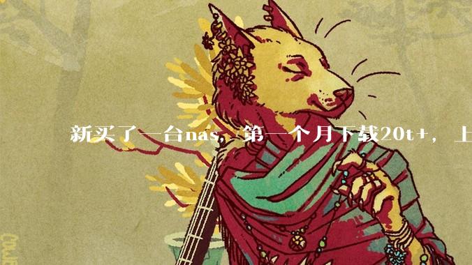 新买了一台nas，第一个月下载20t+，上传5+，不会被网警盯上吧?